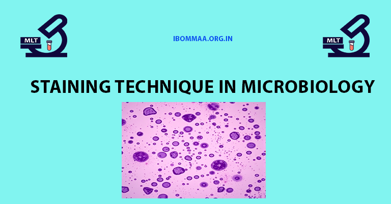 Staining technique in Microbiology