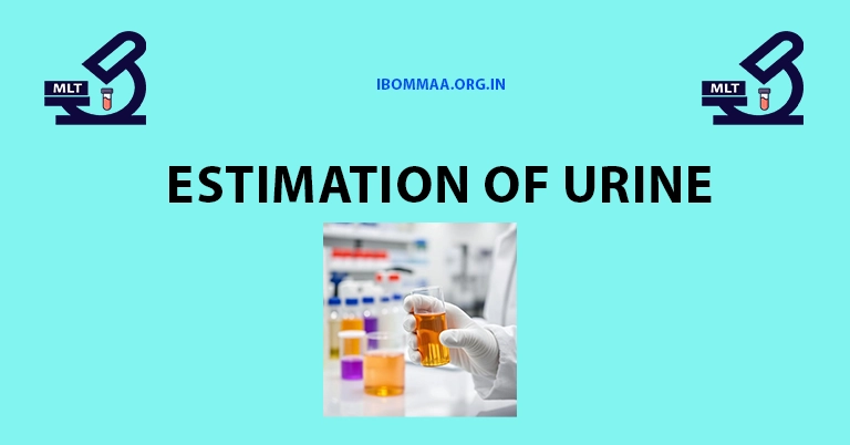 estimation of urine
