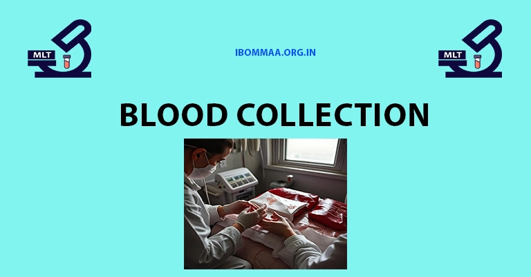 Blood Collection