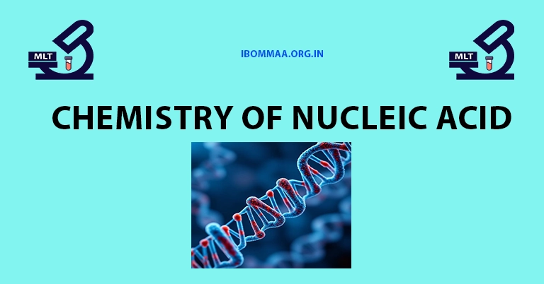 Chemistry of Nucleic acid