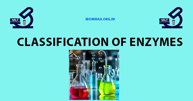 Classification of Enzymes