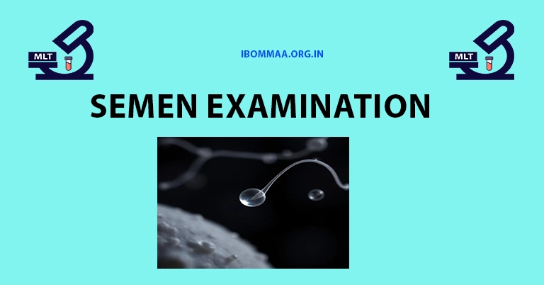 Examination of Semen
