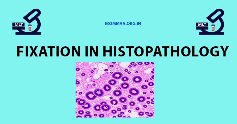 Fixation in Histopathology