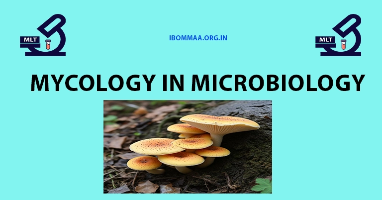 Mycology in microbiology
