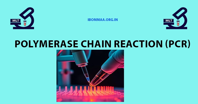 Polymerase Chain Reaction (PCR)