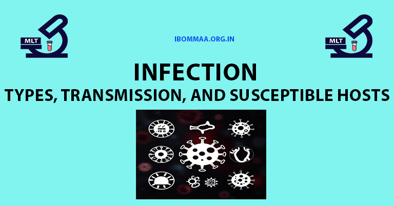 infection types transmission