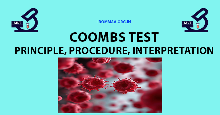 Coombs Test: Principle, Procedure, Interpretation