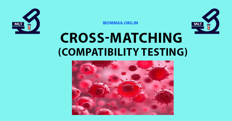 cross-matching (compatibility testing) in blood banks