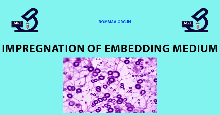 Impregnation of Embedding Medium in Histopathology