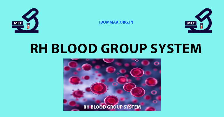 Rh blood group system