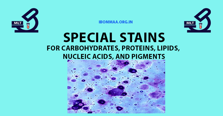 special stains for Carbohydrates, Proteins, Lipids, Nucleic Acids, and Pigments