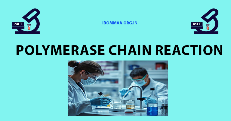 Polymerase Chain Reaction in pathology