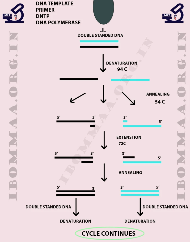 Polymerase Chain Reaction (pcr) in pathology flowchart