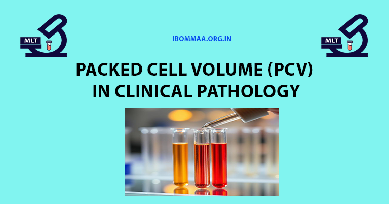 Packed Cell Volume (PCV) in Clinical Pathology